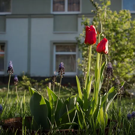 מלון Jagello Business 3*