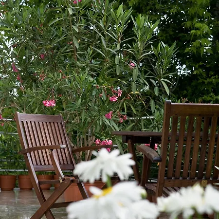 מלון Jagello Business