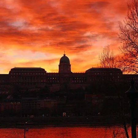 ヤッゲロー ビジネス