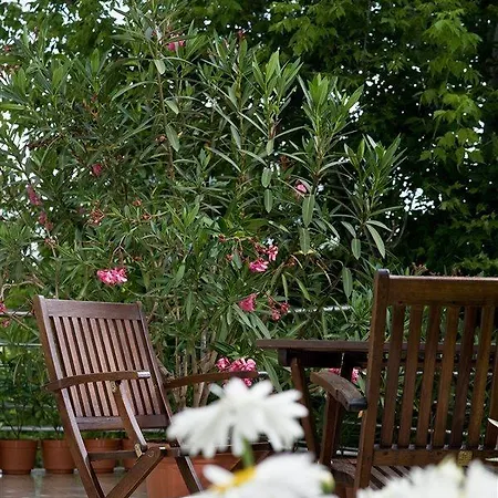 ヤッゲロー ビジネス ブダペスト