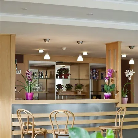 ヤッゲロー ビジネス 3*