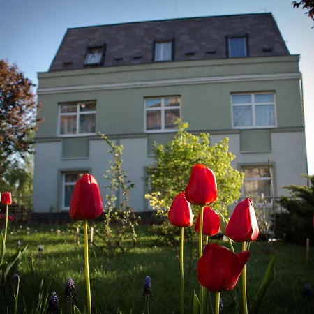 Hotel Jagello Business 3*