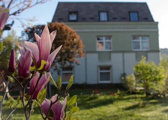 Hotel Jagello Business 3*