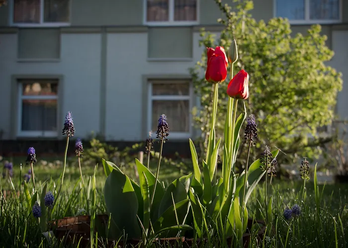 Hotel Jagello Business 3*