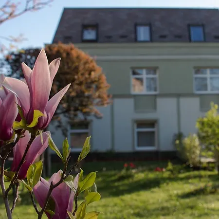 Hotel Jagello Business 3*