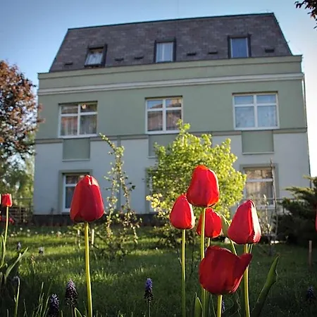 Jagelló Business 3* Budapeste