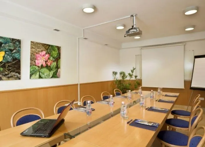 Hotel Jagelló Business